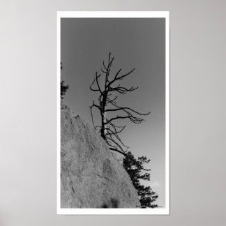 Affiche Lone Sky Tree, photo numérique de Mark Easton