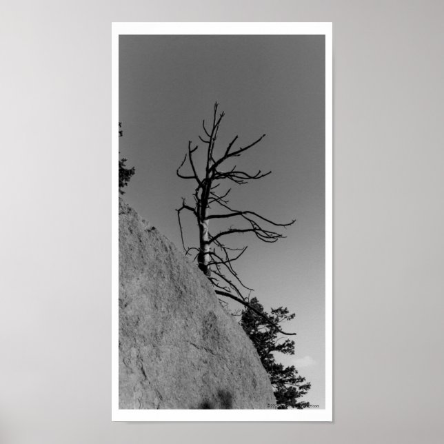 Affiche Lone Sky Tree, photo numérique de Mark Easton (Devant)