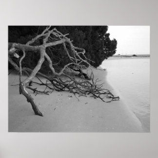 Affiche Lonely Beach