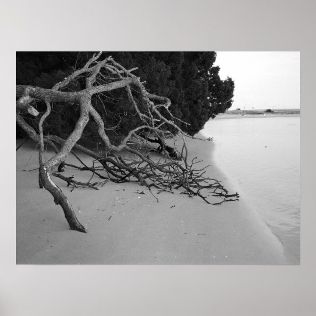 Affiche Lonely Beach (Devant)