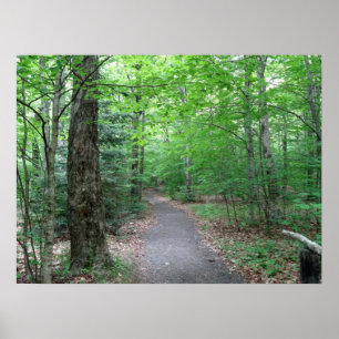 Affiche Lonesome Lake Trail dans le New Hampshire