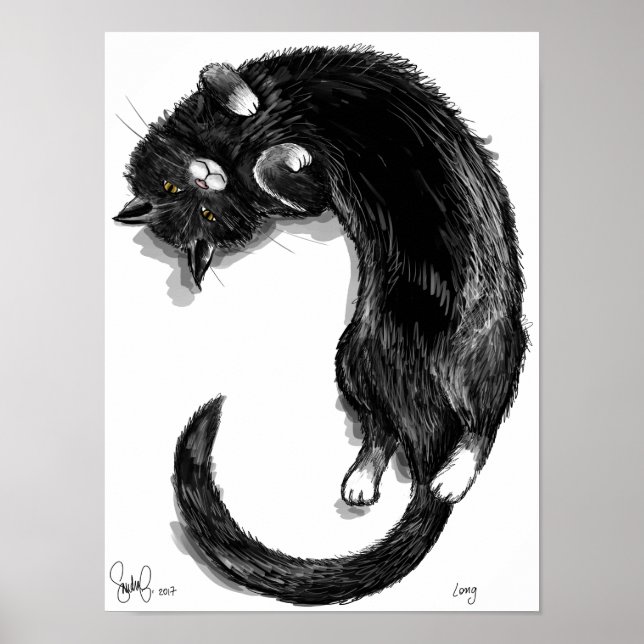 Affiche Long (Devant)