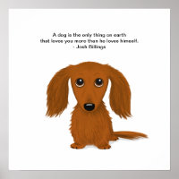 Long Haired Dachshund avec Josh Billings