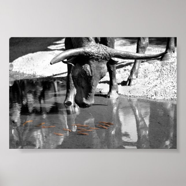 Affiche Longhorn et Goldfish (Devant)