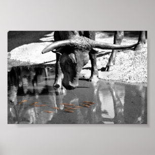 Affiche Longhorn et poisson rouge