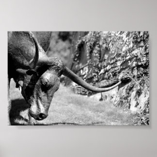 Affiche Longhorn Manger