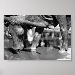 Affiche Longhorn potable