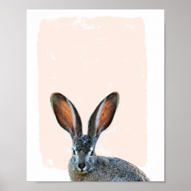Affiche Longue oreille Rabbit Nursery regarder un bol (Devant)