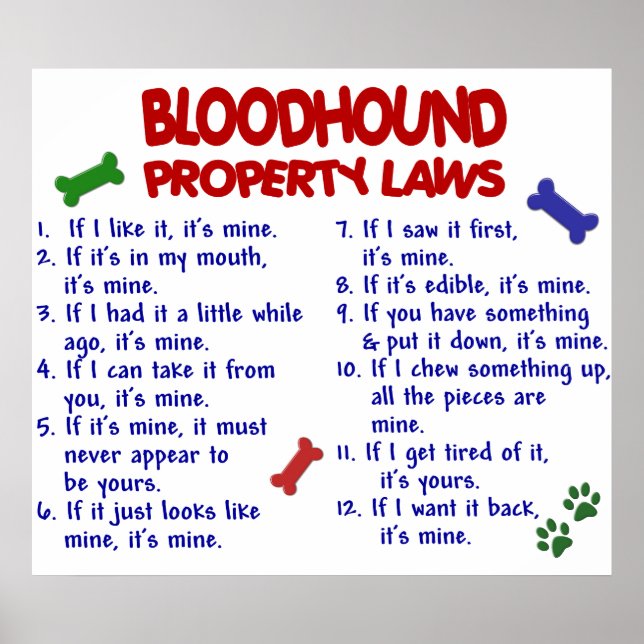 AFFICHE LOODHOUND PL2 (Devant)