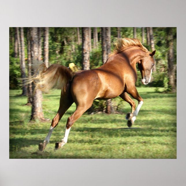 Affiche Lookie Lou Having Fun (Devant)