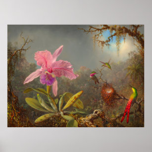 Affiche L'orchidée de Cattleya et trois colibris Heade