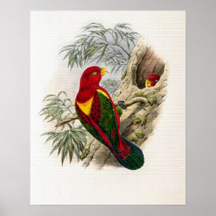 Affiche Lori à manteau jaune vintage par John Gould