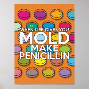 AFFICHE LORSQUE LA VIE VOUS DONNE MOLD FAIRE PENICILLIN