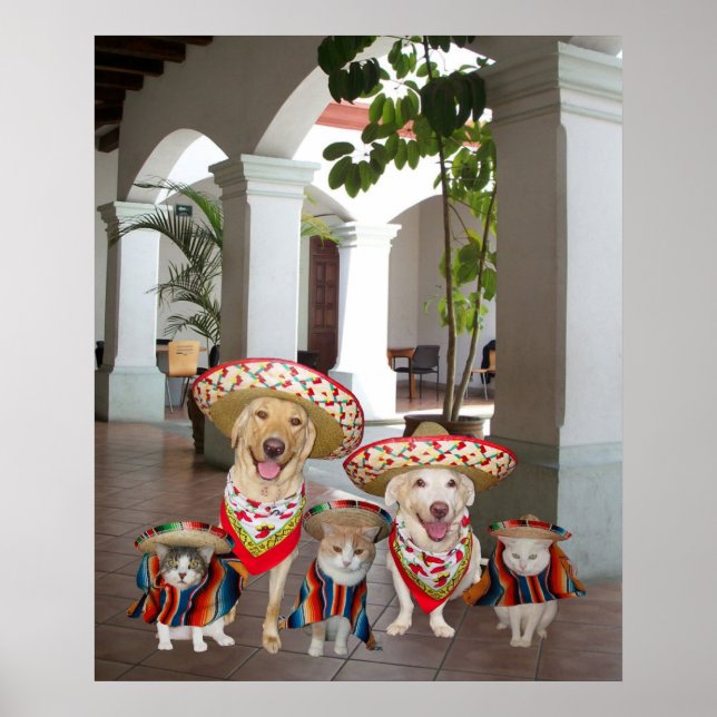 Affiche Los amigos (Devant)