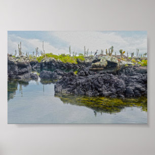 Affiche Los Tuneles, îles Galapagos, Équateur