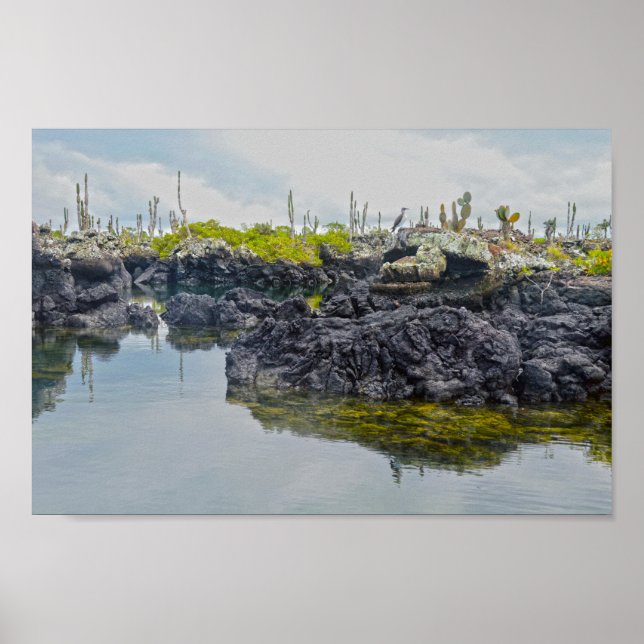 Affiche Los Tuneles, îles Galapagos, Équateur (Devant)