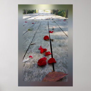 Affiche Lost red petals