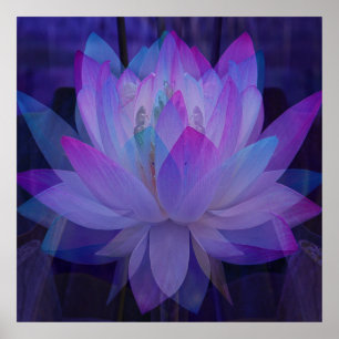 Affiche Lotus en bleu...