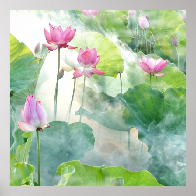 Affiche Lotus Summer, vivace aquatique rose pastel (Devant)