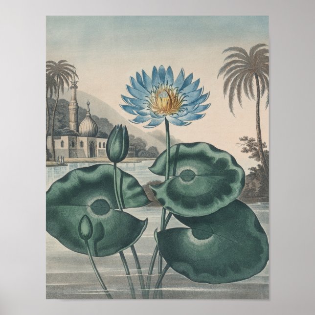 Affiche Lotus vintage (Devant)