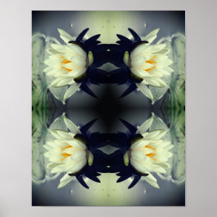 Affiche Lotus Water Lily Miroir de fleurs Art Abstrait