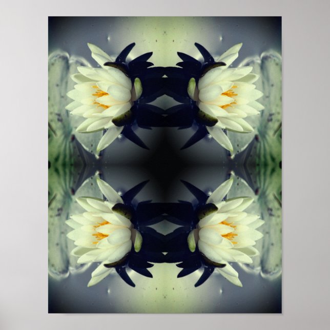 Affiche Lotus Water Lily Miroir de fleurs Art Abstrait (Devant)