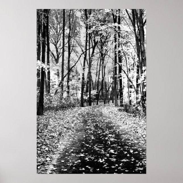 Affiche Loud Whisper (Devant)