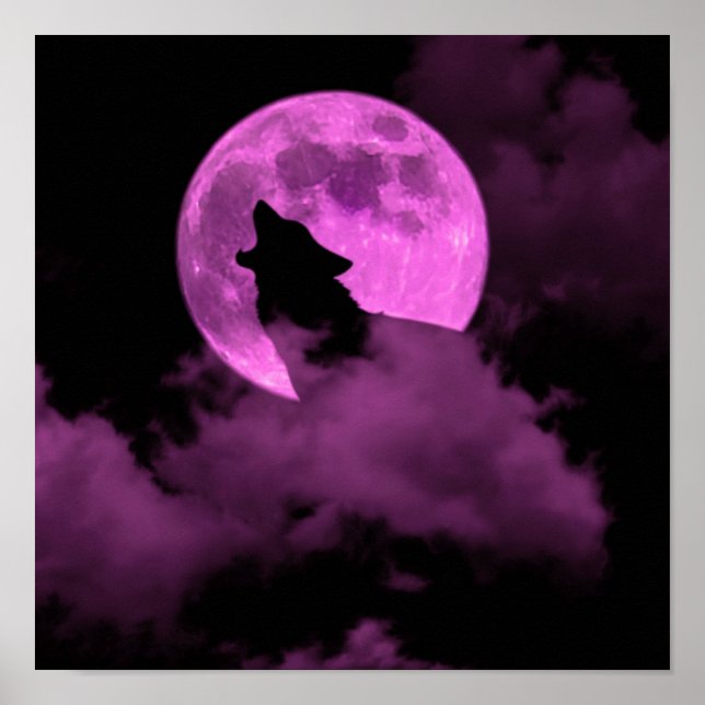 Affiche loup (Devant)