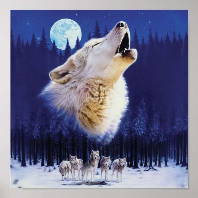 Affiche Loup (Devant)