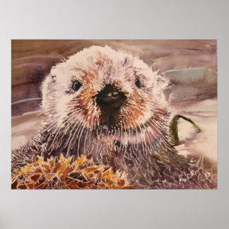 Affiche Loup de mer en toile d'aquarelle Kelp Imprimer
