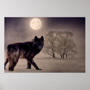 Affiche Loup de Pleine lune.
