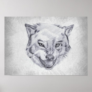 Affiche Loup - Dessin Graphique