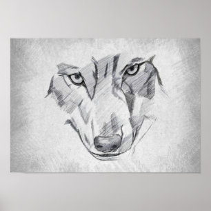 Affiche Loup - Dessin Graphique