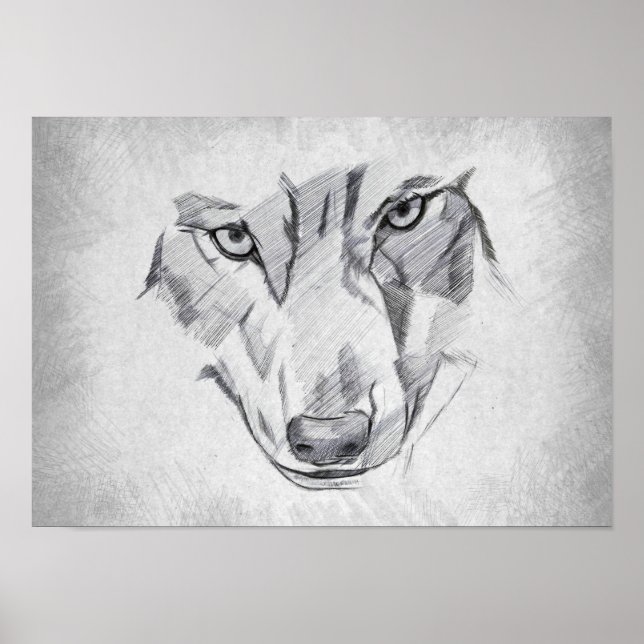 Affiche Loup - Dessin Graphique (Devant)