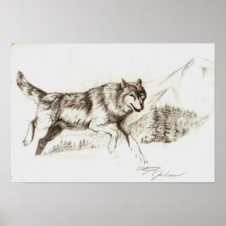 Affiche Loup d'hiver