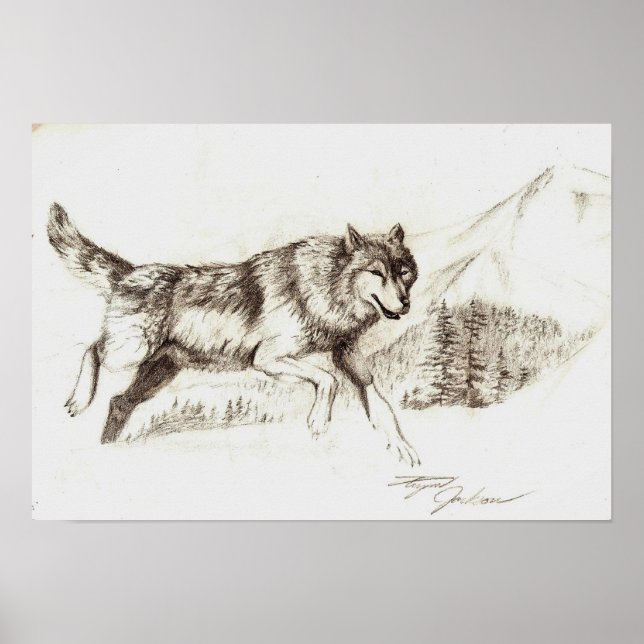 Affiche Loup d'hiver (Devant)