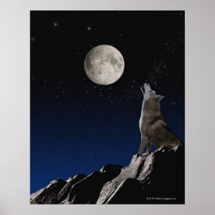 Affiche Loup d'hurlement