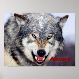 Affiche loup en colère