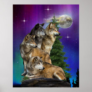 Affiche Loup et lune