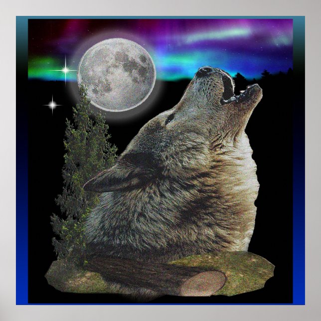 Affiche Loup et lune hurlant (Devant)
