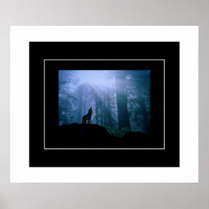 Affiche Loup hurlant