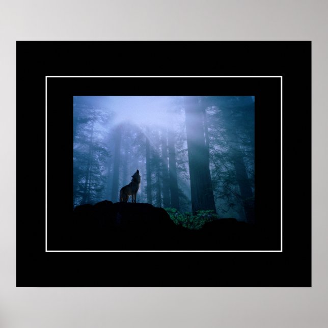 Affiche Loup hurlant (Devant)