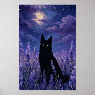 Affiche Loup noir dans champ de lavande
