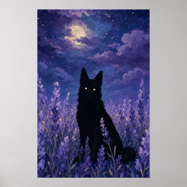 Affiche 	 Loup noir dans champ de lavande (Devant)