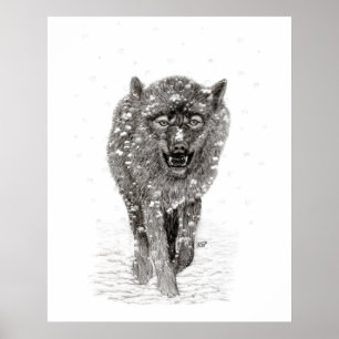 Affiche Loup noir en colère dans la neige, hiver sauvage