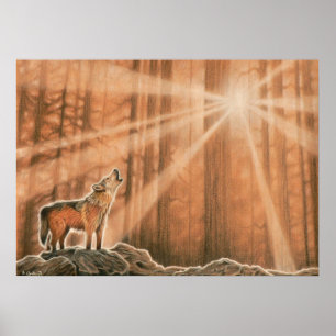 Affiche Loup solitaire