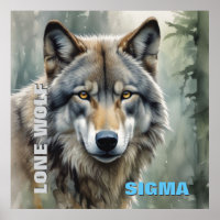 Loup solitaire mâle Sigma