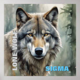 Affiche Loup solitaire mâle Sigma