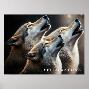 Affiche Loups de Yellowstone