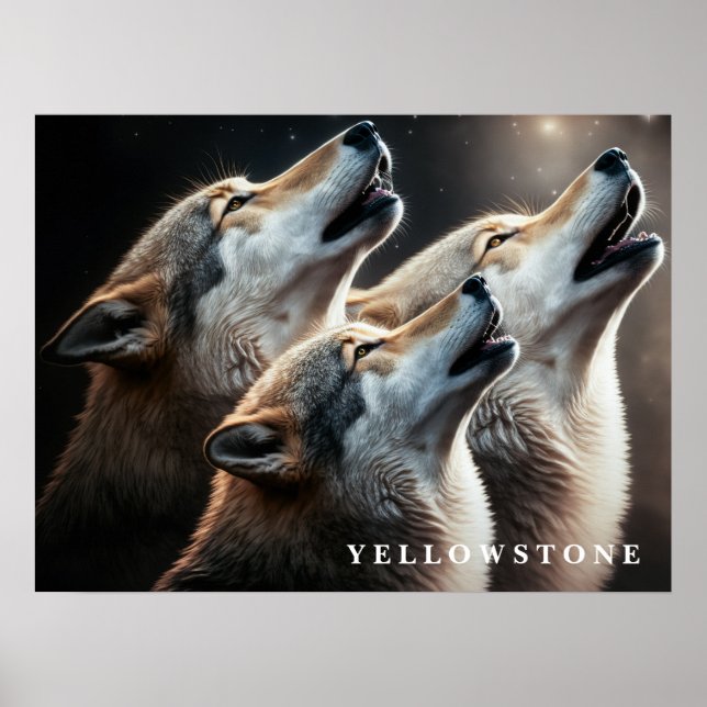 Affiche Loups de Yellowstone (Devant)